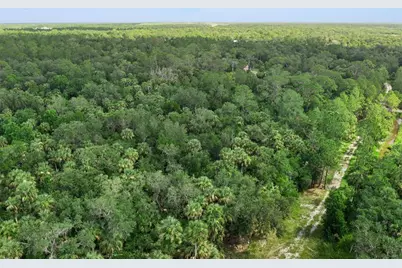 2401 Canvasback Trail, Geneva, FL 32732 - Photo 7