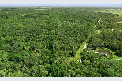 2401 Canvasback Trail, Geneva, FL 32732 - Photo 5