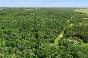 2401 Canvasback Trail, Geneva, FL 32732 - Photo 5