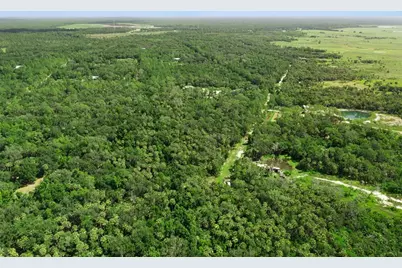 2401 Canvasback Trail, Geneva, FL 32732 - Photo 11