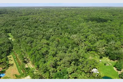 2401 Canvasback Trail, Geneva, FL 32732 - Photo 13