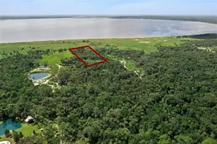 Canvasback Trail, Geneva, FL 32732 - Photo 3