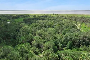 Canvasback Trail, Geneva, FL 32732 - Photo 11