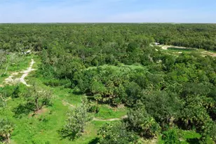 Canvasback Trail, Geneva, FL 32732 - Photo 9