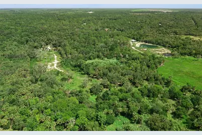 Canvasback Trail, Geneva, FL 32732 - Photo 5