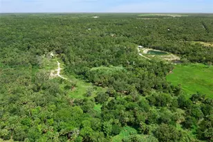 Canvasback Trail, Geneva, FL 32732 - Photo 5