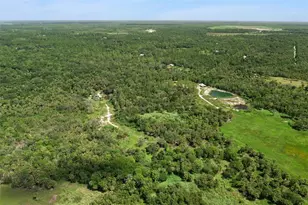 Canvasback Trail, Geneva, FL 32732 - Photo 7