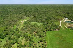 Canvasback Trail, Geneva, FL 32732 - Photo 15