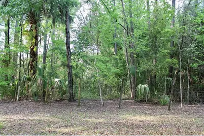 3700 SE 183rd Avenue Road, Ocklawaha, FL 32179 - Photo 45