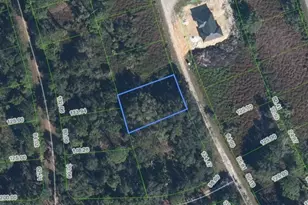 1030 Redbird St, Lake Placid, FL 33852 - Photo 1