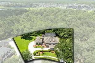 3909 Cassia Dr, Orlando, FL 32828 - Photo 3