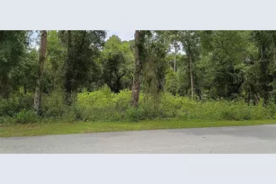 1876 Blackwelder Road, De Leon Springs, FL 32130 - Photo 3