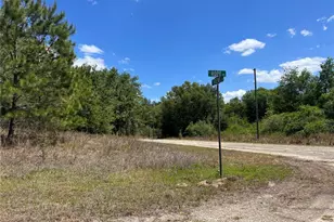 689 E Hope Pl, Dunnellon, FL 34434 - Photo 1