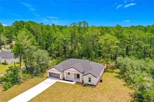 41334 Persimmon St, Eustis, FL 32736 - Photo 5