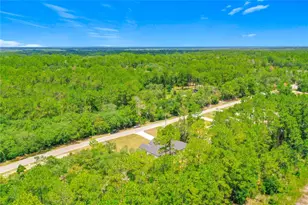 41334 Persimmon St, Eustis, FL 32736 - Photo 61