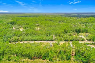 41334 Persimmon St, Eustis, FL 32736 - Photo 63