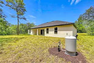 41334 Persimmon St, Eustis, FL 32736 - Photo 57