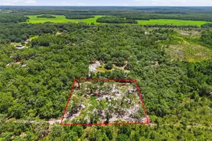 6900 NE 195th St, Citra, FL 32113 - Photo 1