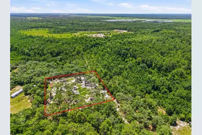 6900 NE 195th Street, Citra, FL 32113 - Photo 3