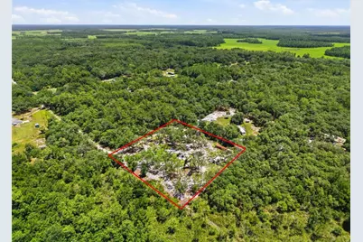 6900 NE 195th Street, Citra, FL 32113 - Photo 5