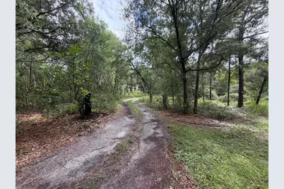 981 Sevilla Avenue, Lake Helen, FL 32744 - Photo 3