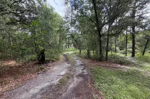981 Sevilla Ave, Lake Helen, FL 32744 - Photo 3