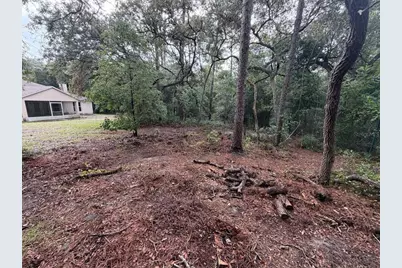 981 Sevilla Avenue, Lake Helen, FL 32744 - Photo 7