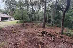 981 Sevilla Ave, Lake Helen, FL 32744 - Photo 7