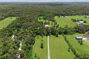 1705 Van Arsdale St, Oviedo, FL 32765 - Photo 49