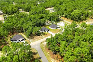 1932 W Adelia Pl, Citrus Springs, FL 34434 - Photo 37