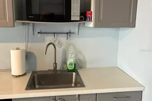 407 N Shine Ave, Orlando, FL 32803 - Photo 7