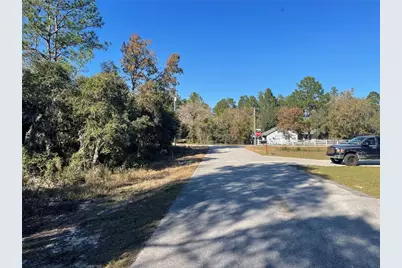 1056 Bamboo Lane, Dunnellon, FL 34431 - Photo 3