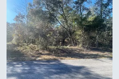 1056 Bamboo Lane, Dunnellon, FL 34431 - Photo 11