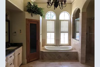 1238 Lake Whitney Drive, Windermere, FL 34786 - Photo 15