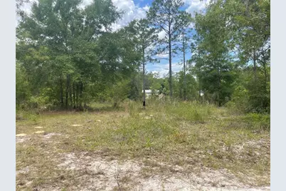 6624 NE 96 Avenue, Bronson, FL 32621 - Photo 5