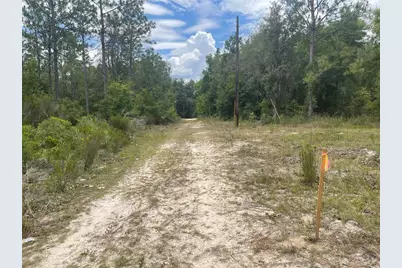 6628 NE 96 Avenue, Bronson, FL 32621 - Photo 5