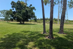 209 Mary Dr, Oldsmar, FL 34677 - Photo 33