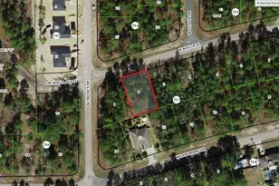 1948 W Adelia Pl, Citrus Springs, FL 34434 - Photo 33