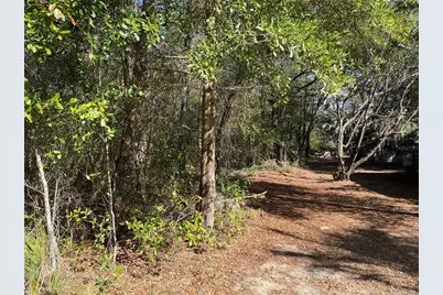 2085 SW Algiers Court, Dunnellon, FL 34431 - Photo 3