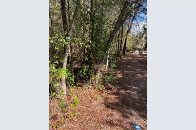2085 SW Algiers Court, Dunnellon, FL 34431 - Photo 5