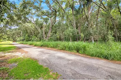 Avalon Road, Winter Garden, FL 34787 - Photo 5