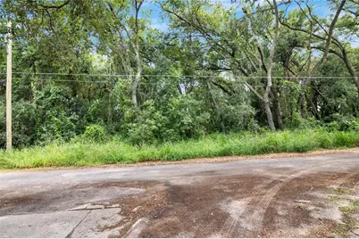 Avalon Road, Winter Garden, FL 34787 - Photo 9