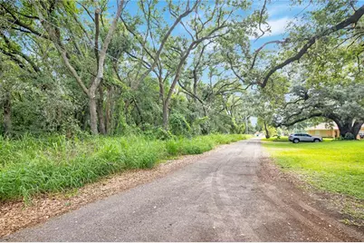 Avalon Road, Winter Garden, FL 34787 - Photo 3
