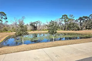 2333 Penguin Blvd, Davenport, FL 33837 - Photo 23