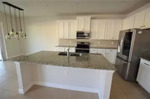 4358 Silver Creek St, Kissimmee, FL 34744 - Photo 7