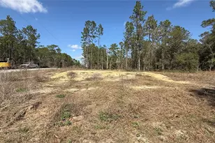 259 NW Redwood Dr, Dunnellon, FL 34431 - Photo 1