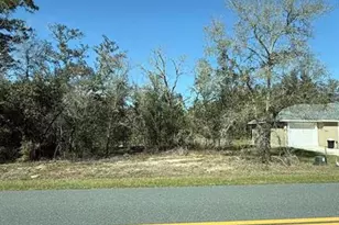 22767 SW Beach Blvd, Dunnellon, FL 34431 - Photo 1