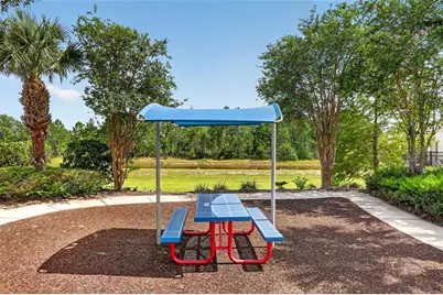 1242 Butterfly Orchid Road, Davenport, FL 33837 - Photo 87