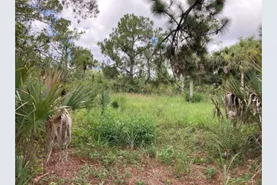 4421 24th Avenue SE, Naples, FL 34117 - Photo 9