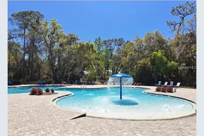 3140 Goose Road, Davenport, FL 33837 - Photo 29